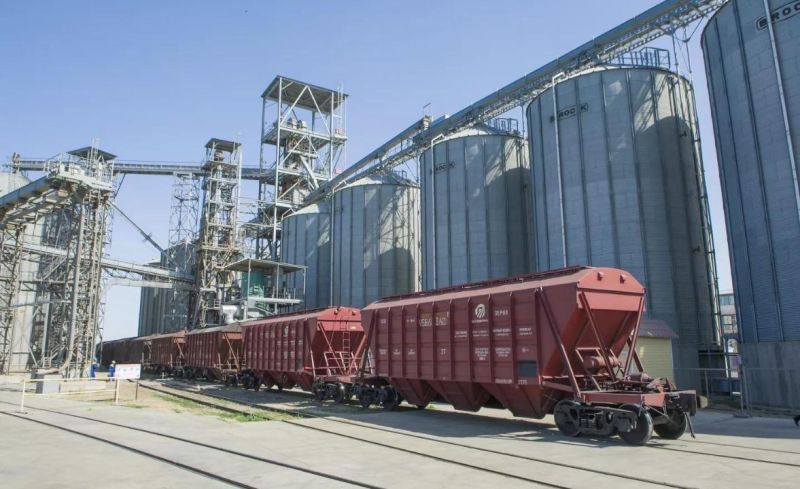 Жаңа астық экспорты 7,6 млн тоннаға жетті