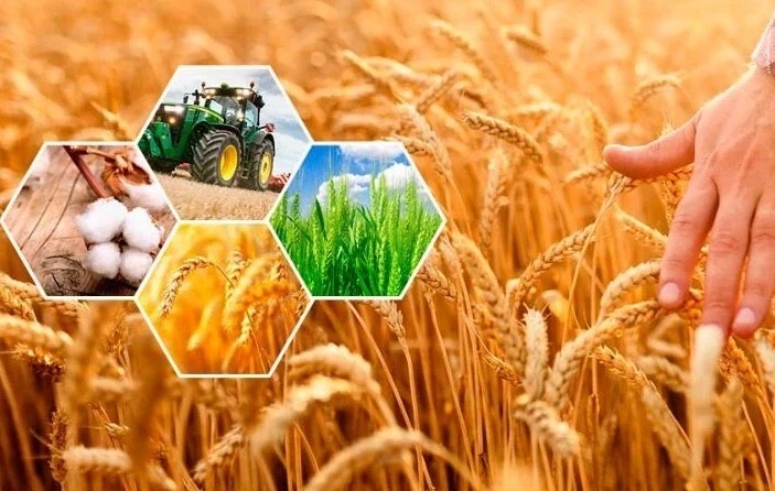 Жетісу облысында Ұлттық ауыл шаруашылығы санағы басталады