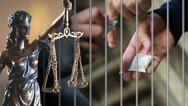 Жетісу облысында жыл басынан бері 54 келі түрлі есірткі тәркіленді