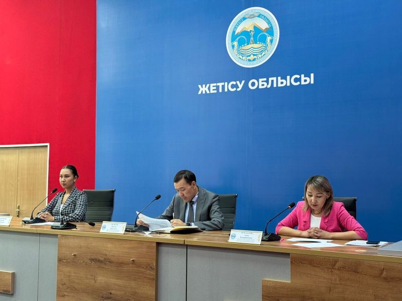 Жетісу облысында кедендік бақылау күшейтілуде: 5 айда 91 тексеру жүргізілді